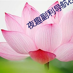 夜趣副利導航在線