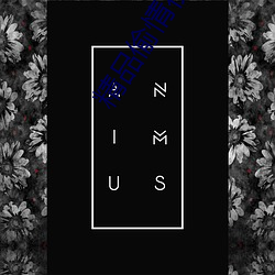 精品偷情视(shì)频