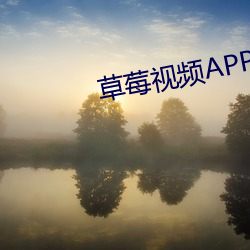 草莓视频APP下载装置官方