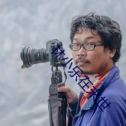 林小樂在末世