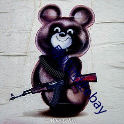 导航(航)地(地)址ebay