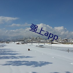 强上app