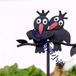 成人有声小说