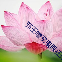 邪王嗜寵鬼醫狂妃
