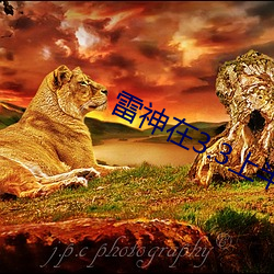 雷神在3.3上半还(還)是下半