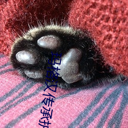 玛格汉传承护甲