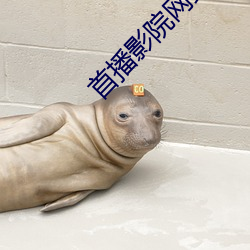 AG真人平台(中国)官方网站