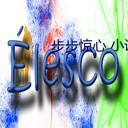 步步惊心 小说
