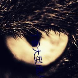 丁香大型成人網