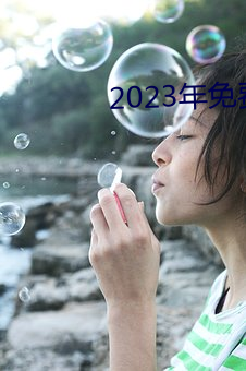 2023年免费资料大全集