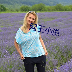 网王小说