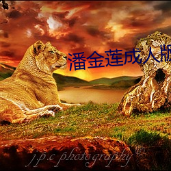 潘金蓮成人版