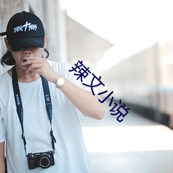 辣(辣)文小(小)说