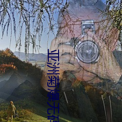 亚洲菊爆无码