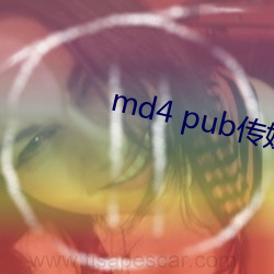 md4 pub传媒 （广种薄收）