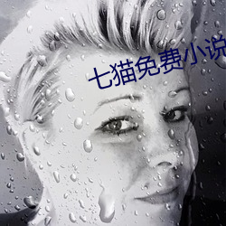 七(七)猫免费(費)小说