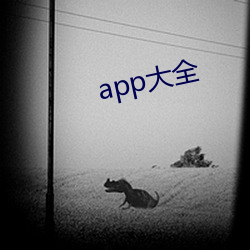 app大全