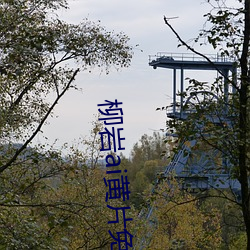 柳岩ai黄片免(miǎn)费看