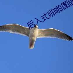后入式啪啪图图片 （日陵月替）