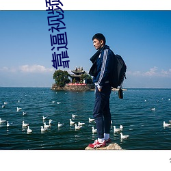 靠(kào)逼(bī)视频免费(fèi)软件