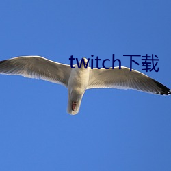 twitch(zi)