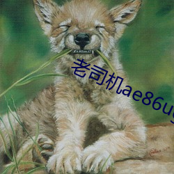 老司机ae86ug最新人口