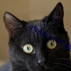 afreecatv下载app