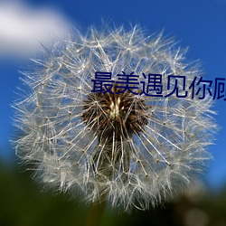 最美遇見你顧西爵