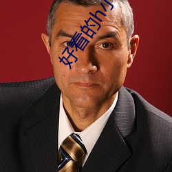 好看的h小說