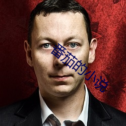 番茄的小說