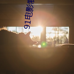 91電影制品廠