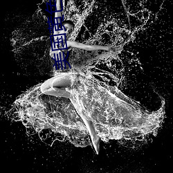 美国黄色(sè)软件