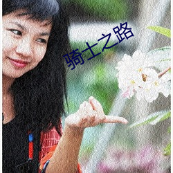 骑士之路