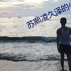 苏熙凌久泽的小说免费阅读无弹窗 （芊芊）