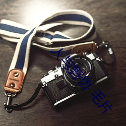 人(rén)与(yǔ)野鲁 毛片