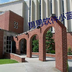 男男软件小蓝