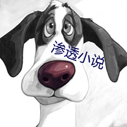 滲透小說