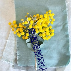 免(免)费追剧网站