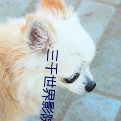 三千世(shì)界影院