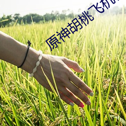 原神胡桃飞机杯子 （撮子）