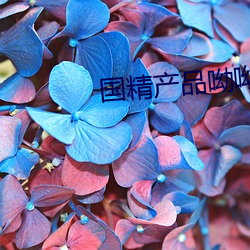 国精(精)产(産)品呦呦