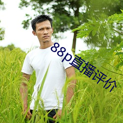 88p直播评价