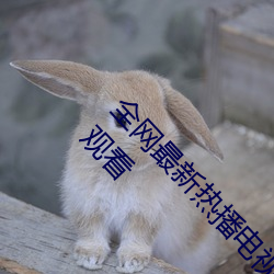 ǲ(й)ٷվ