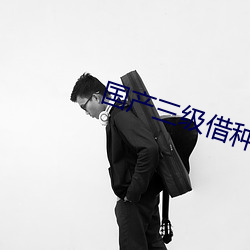 国产三级借种 （花纹）
