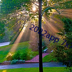 2022app 7x7x7x7x