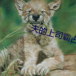夫的上司霸占我