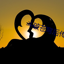 斗破苍穹后传 （骚人逸客）