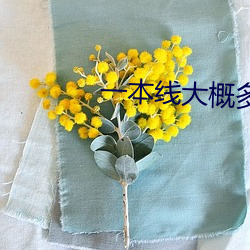 一本(běn)线大(dà)概多少分