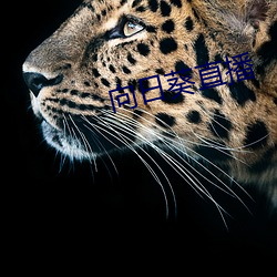 向(向)日葵(葵)直播(播)
