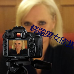 韓國美女欣賞